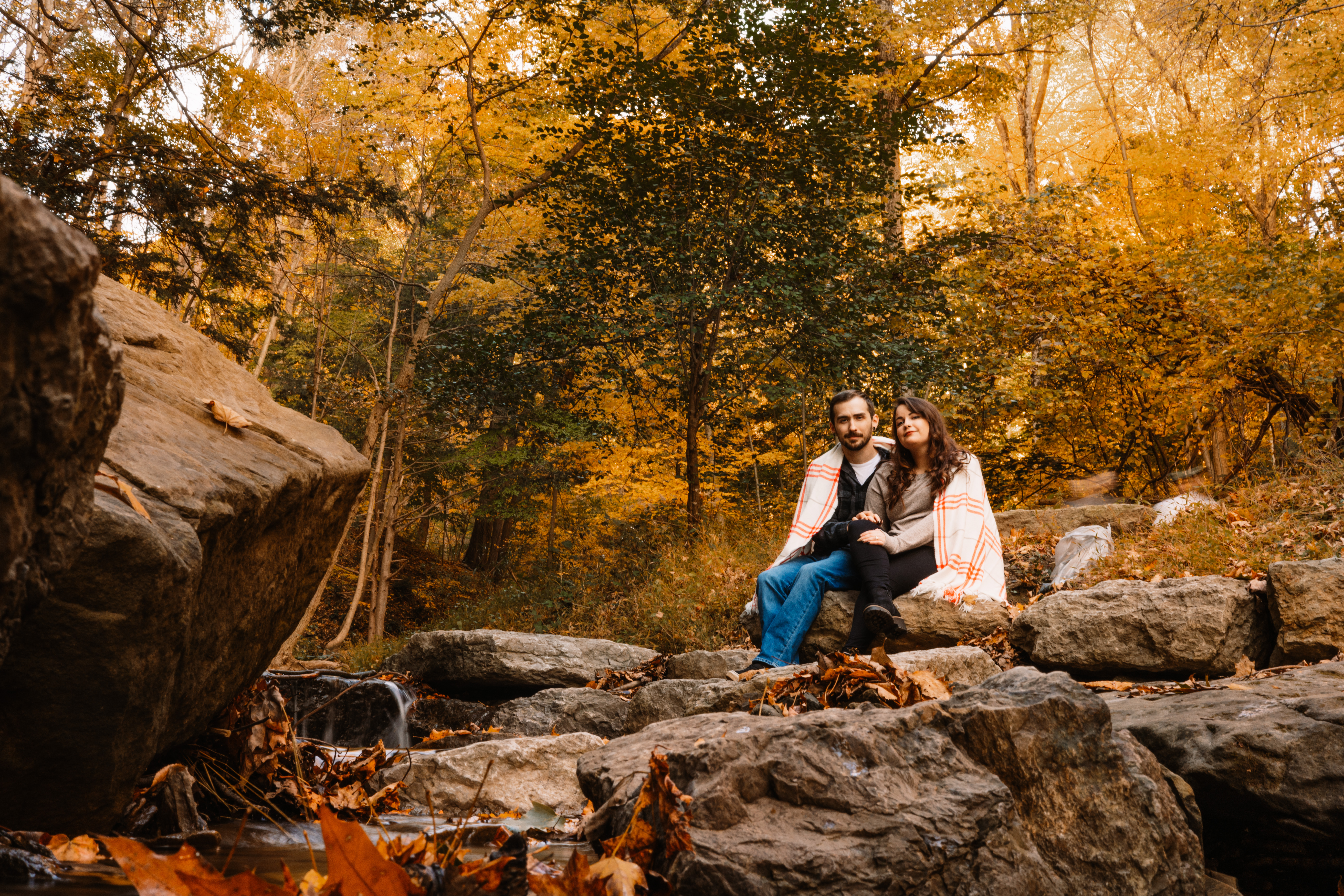 Couple in Forest | Pittsburgh Photographers | Wedding Photographers in Pittsburgh